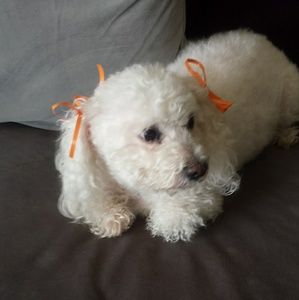 Meet your Posher, Erika